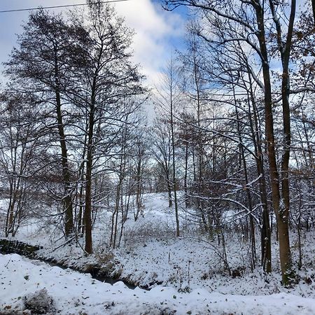 Szewska Pasja Agroturystyka Wiejska เลชนา ภายนอก รูปภาพ