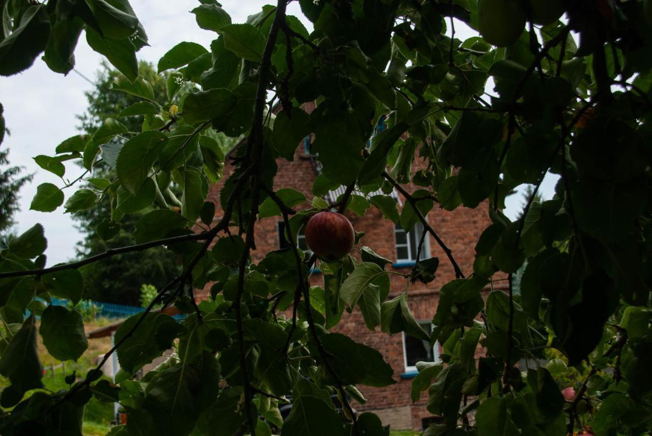 Szewska Pasja Agroturystyka Wiejska เลชนา ภายนอก รูปภาพ