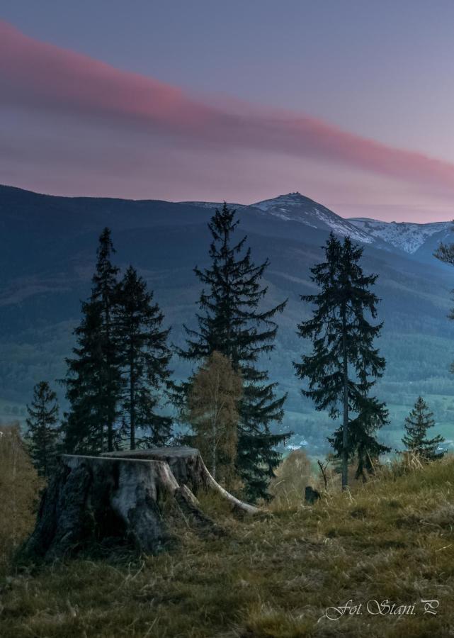 Szewska Pasja Agroturystyka Wiejska เลชนา ภายนอก รูปภาพ