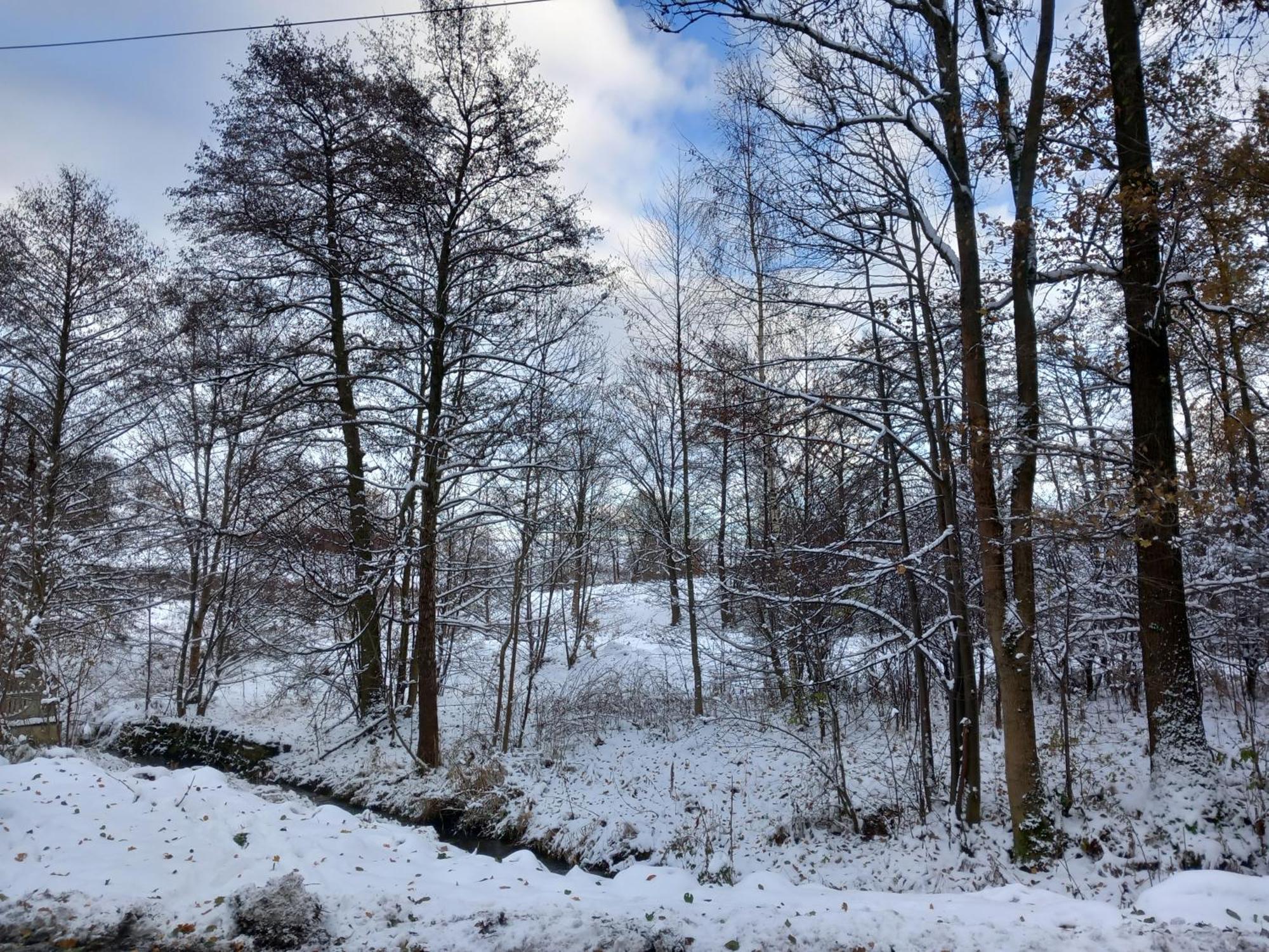 Szewska Pasja Agroturystyka Wiejska เลชนา ภายนอก รูปภาพ