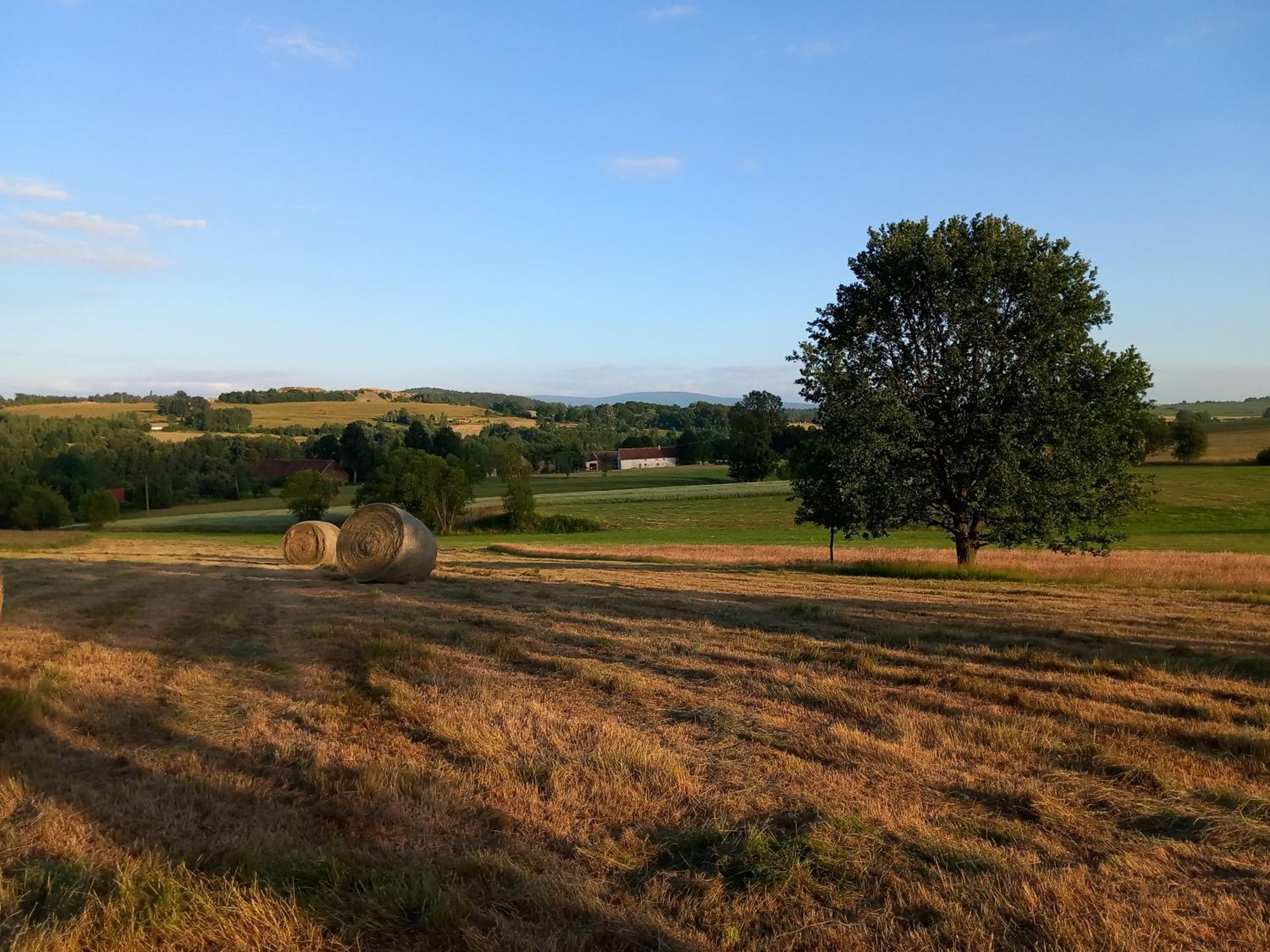Szewska Pasja Agroturystyka Wiejska เลชนา ภายนอก รูปภาพ