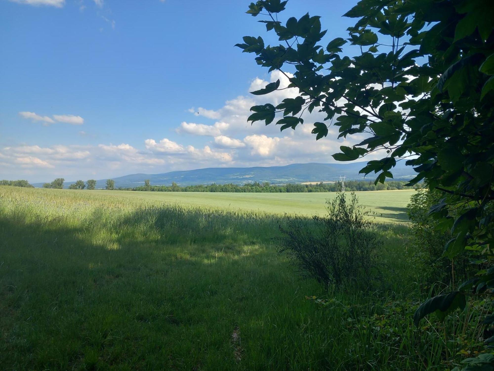 Szewska Pasja Agroturystyka Wiejska เลชนา ภายนอก รูปภาพ